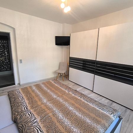 Hochwertige Ferienwohnung/Zentrumsnahe Lage! Райхенбах-им-Фогтланд Экстерьер фото